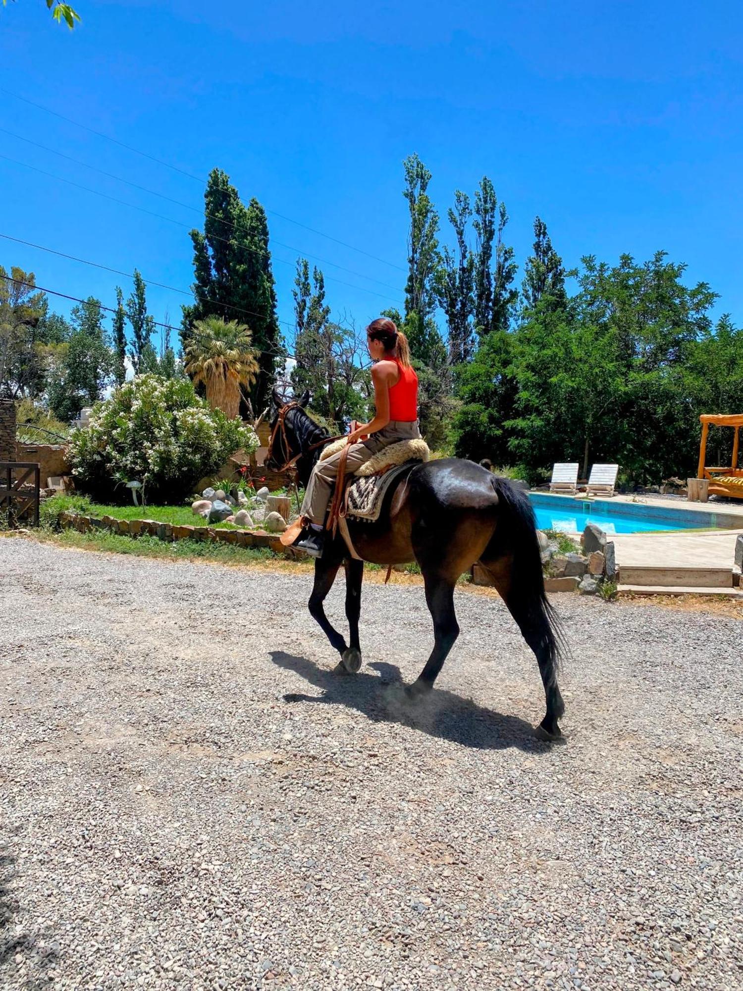 La Comarca Del Jarillal Hotell Las Flores  Eksteriør bilde