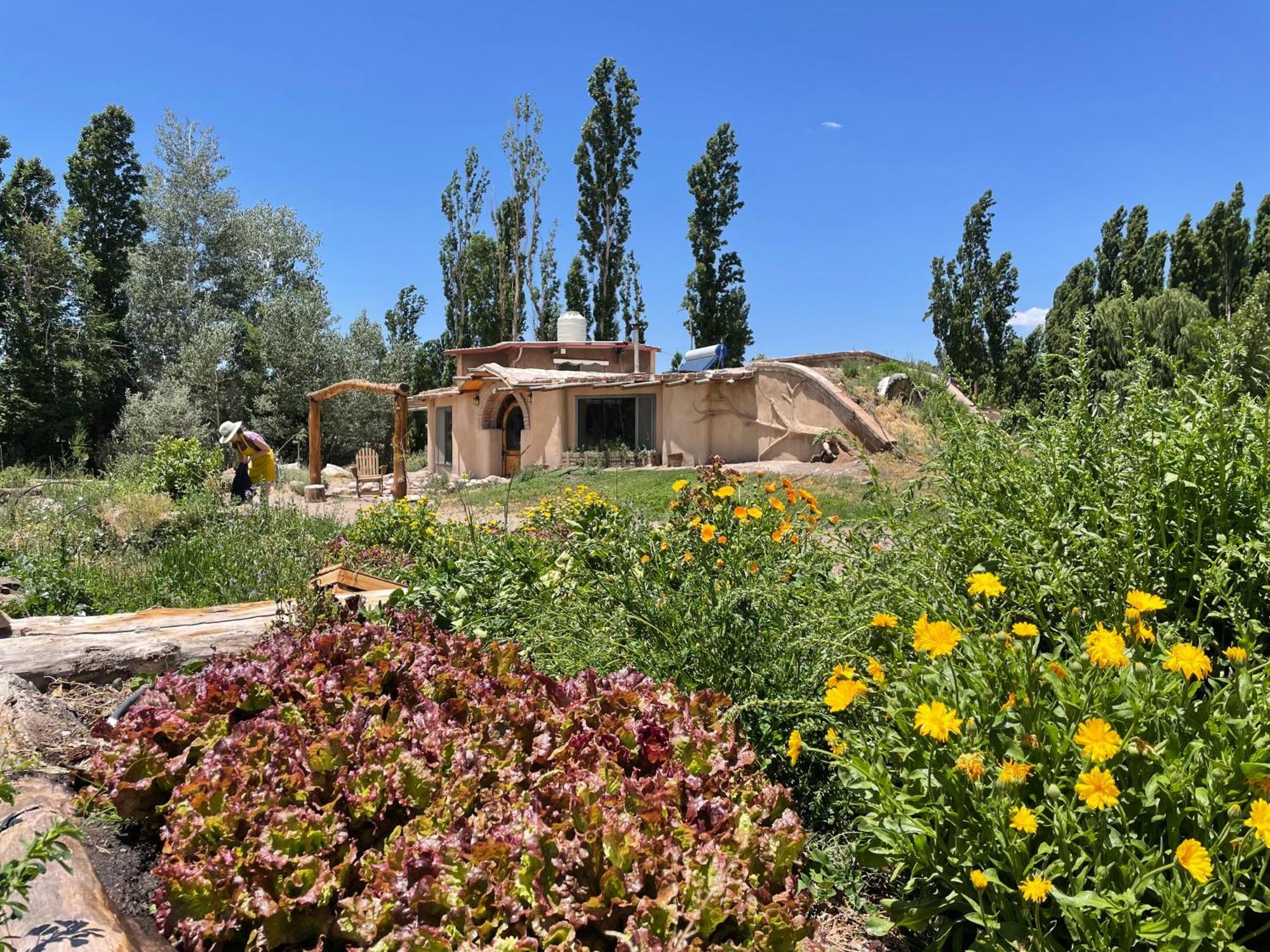 La Comarca Del Jarillal Hotell Las Flores  Eksteriør bilde